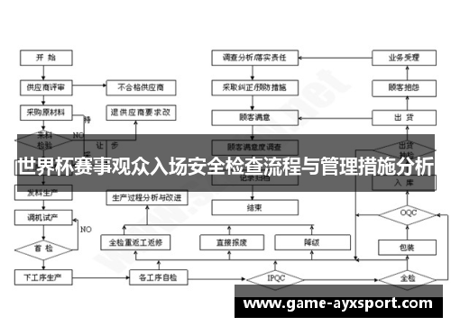 世界杯赛事观众入场安全检查流程与管理措施分析