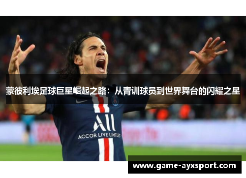蒙彼利埃足球巨星崛起之路：从青训球员到世界舞台的闪耀之星