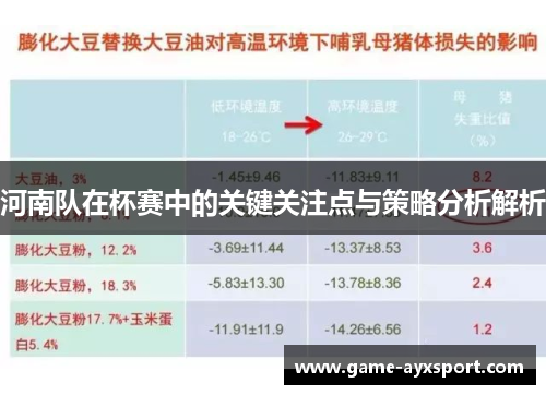 河南队在杯赛中的关键关注点与策略分析解析