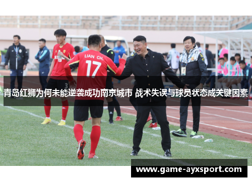 青岛红狮为何未能逆袭成功南京城市 战术失误与球员状态成关键因素